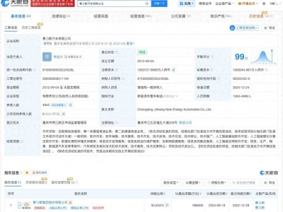 赛力斯汽车工商变更：张兴海卸任董事长 张正萍接棒掌舵